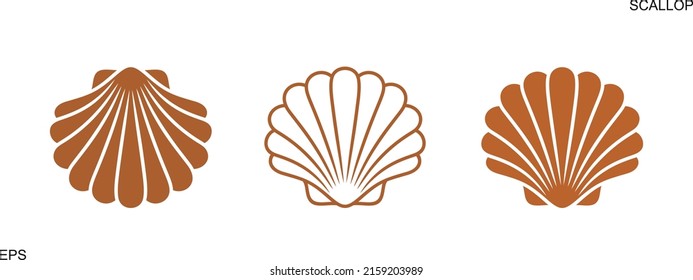 Scallop logo. Isolated scallop  on white background