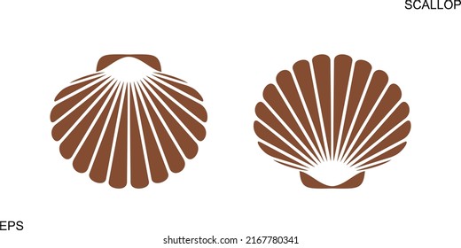 Scallop logo. Isolated scallop  on white background