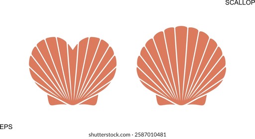 Scallop logo. Isolated scallop  on white background