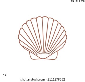 Scallop outline. Isolated scallop  on white background