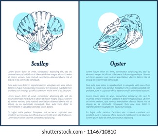 Scallop and Oyster marine creatures as seafood flat vector illustration in sketch style. Nautical information poster on white and blue with text sample.