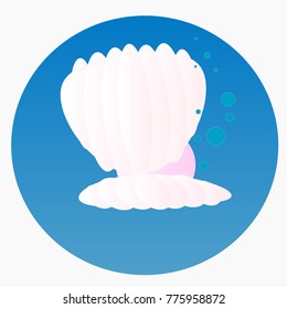 Scallop sea shell 