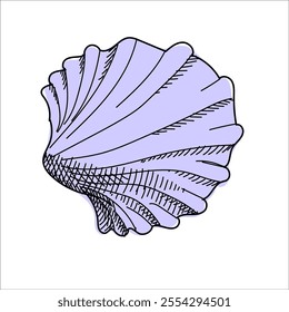 Scallop sea shell isolated on white background. Hand drawn blue  sketch of saltwater clam. Hand drawn illustrations. Vector doodle conch. Element for summer.