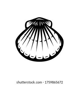 scallop sea shell, sketch style vector illustration isolated on white background.