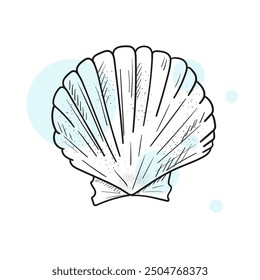 Scallop sea shell, sketch style vector illustration isolated on white background. Hand drawn illustration of sea Shell on isolated background. Drawing of Scallop on outline style. Sketch of Cockleshel