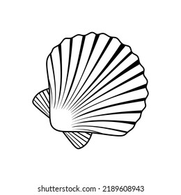 Mano de concha de vieiras dibujada a mano. La concha marina Ocean Mollusk sobre fondo blanco. Diseño mínimo de conchas marinas lineales. vectores 10