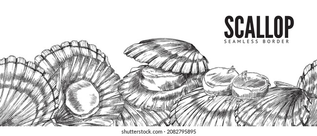 Scallop seashell horizontal seamless border, vector pencil sketch. Sea shell seafood pattern for banner or ornament, vintage engraving design for menu or product package.