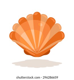 Scallop seashell illustration