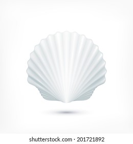 Scallop seashell of mollusks icon sign isolated. Vector illustration