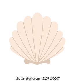 Scallop seashell. Pectinidae. Sea scallop souvenir decor. Vector illustration in cartoon style. Isolated on white background.
