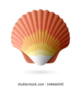 Scallop Seashell. Vector.