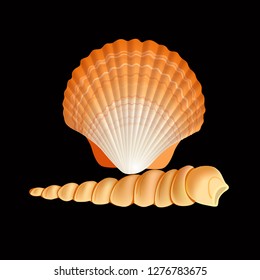 Scallop Seashell Vector. Realistic Scallops Shell Isolated On black Background Illustration