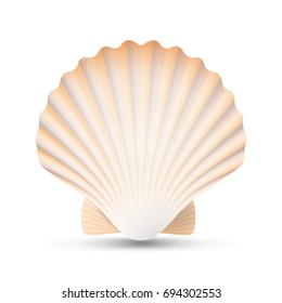 Scallop Seashell Vector. Realistic Scallops Shell Isolated On White Background Illustration