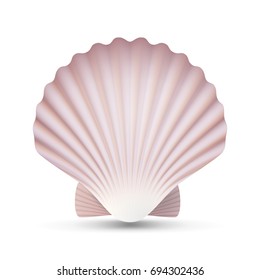 Scallop Seashell Vector. Realistic Sea Shell Close Up. Isolated On White. Illustration