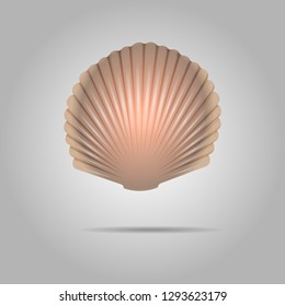 Scallop Seashell Vector. Scallops Shell Isolated On gray Background