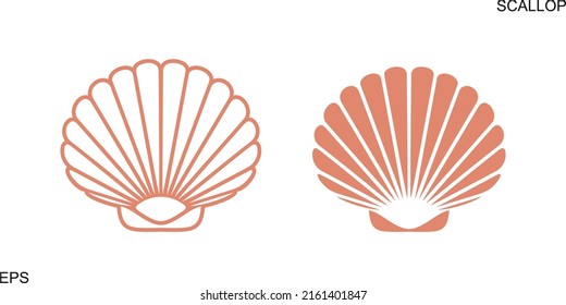 Scallop set. Isolated scallop  on white background