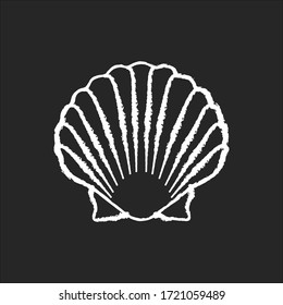 Scallop shell chalk white icon on black background. Exotic seashell, decorative conch. Ocean souvenir, conchology Chlamys imbricatus. Oyster, clam shell isolated vector chalkboard illustration