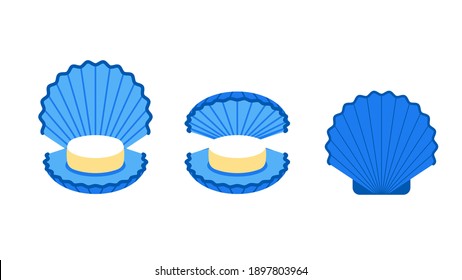 Scallop shell - closed, slightly open and closed. Scallop shell with soft delicious scallop meat inside.Vector illustration of a sea shell for design, postcard, poster.