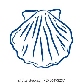 Scallop shell contour and