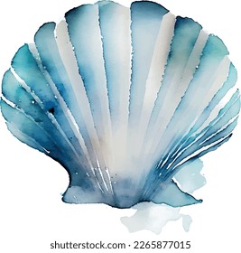 scallop shell drawn with watercolor and light background