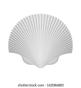 Scallop Shell. Isolated On White. Vector Illustration