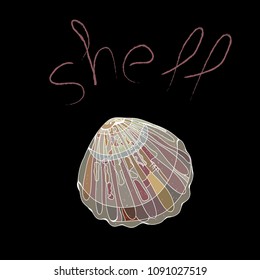 Scallop shell, made in gentle tones, on a black background. With the word in English "shell". For any design, like decoration, for fabric, postcard on a summer theme