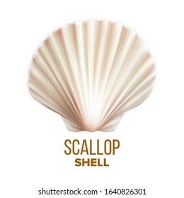 Scallop Shell Ocean Mollusk Protection Vector. Scallop Cockleshell Marine Seashore Vacation Decorative Souvenir. Restaurant Culinary Delicacy Seafood Concept Mockup Realistic 3d Illustration