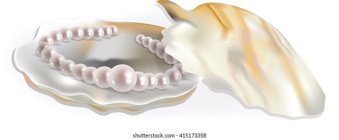 Scallop shell with pearl necklace isolated on white. Vector illustration of a seashell with precious pearls jewelry