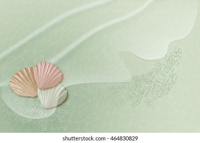 scallop shell in the sand under the water in bright shades of green
