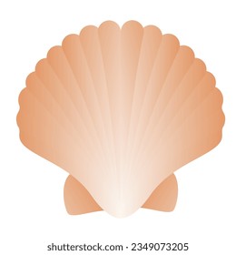 scallop shell vector illustration modern design isolated on white background