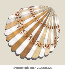 Scallop shell. Vector illustration of seashell of usual shape with decorative spots. Isolated on light background.