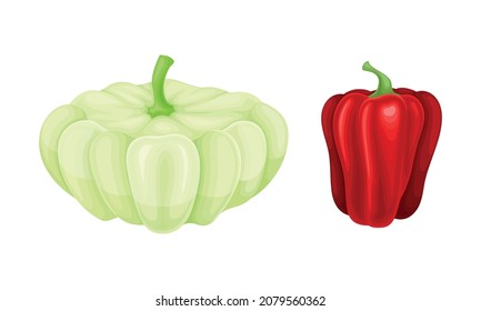 Squash de vieiras y pimienta de hormigón como conjunto de vectores de alimentos en bruto y sin humos