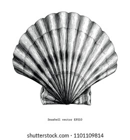 Scallops Seashell vintage clip art