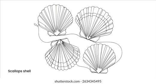 Scallops shell continuous single line art drawing sketch on white background	
