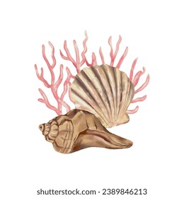 Una concha con forma de vieiras y una concha con forma de espiral. Ilustración vectorial. Estilo acuarela. Tarjetas de felicitación, invitaciones, portadas, volantes y banners