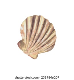Scallop-shaped seashell. Vector sea illustration in watercolor style. Greeting cards, invitations, covers, themed flyers and banners.