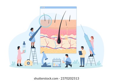 Scalp and hair examination, trichology and dermatology vector illustration. Cartoon tiny doctors with magnifying glass research skin anatomy infographic chart, hair loss treatment by dermatologists