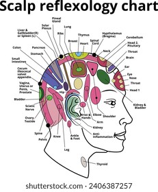 scalp reflexology chart, head reflexology chart