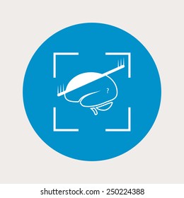 Scan icon. 