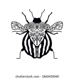 Scandi simple magical beetle, line art. Logo, icon design. 