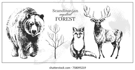 Scandinavian forest animals set. Hand drawn pencil illustrations.