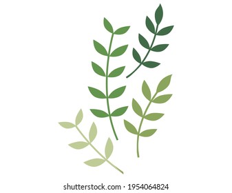 hierba escandinava. Ilustración vectorial. Antecedentes. llama.