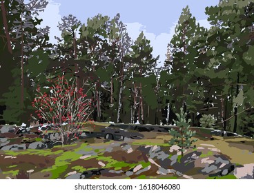 Scandinavian landscape with coniferous forest in the rocky fields. Helsinki, Finland. Vector illustration