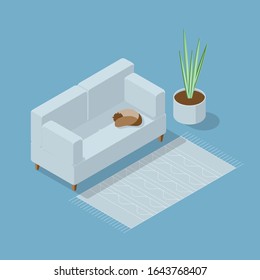 Scandinavian minimal interior isometric composition with furniture. Norwegian living room design. Comfortable cozy home. Couch, home plant, cat isolated on blue background.  Vector illustration.