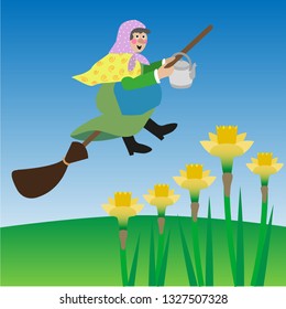 Scandinavian traditional Easter Witch flying on a broom with daffodils in front, vector illustration