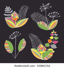 Scandinavian vector floral ornaments. Set of simple hand drawn elements in nordic style for your designs.Scandinavia ornament.