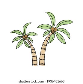Scandinavian vector summer tropical palm trees doodle isolated on white background illustration.