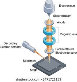 Scanning Electron Microscopy (SEM) Instrumentierung und Prinzipdiagramm, Weißer Hintergrund, Wissenschaft Vektorillustration