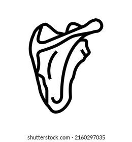 scapula bone line icon vector. scapula bone sign. isolated contour symbol black illustration