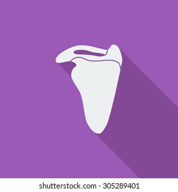 Scapula icon. Flat vector related icon with long shadow for web and mobile applications. It can be used as - logo, pictogram, icon, infographic element. Vector Illustration.